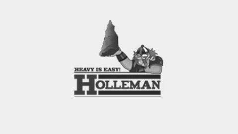 Holleman-re7consulting