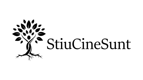 siucinesunt partener re7consulting